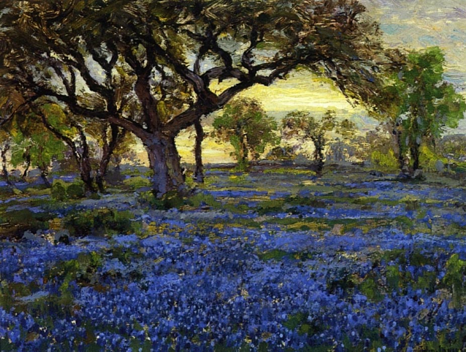Old Live Oak Tree and Bluebonnets on the West Texas Military Grounds, San Antonio, 1919-20