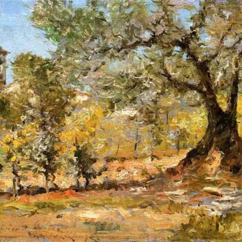 Olive Trees, Florence, 1911