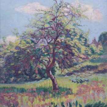 Orchard Blooming at Miregaudon