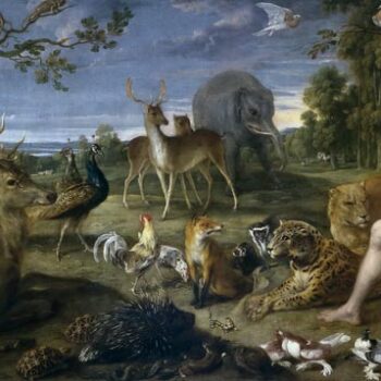 Orpheus and the animals - in collaboration with Theodore van Tyuldenom