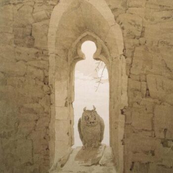 Owl in a Gothic Window
