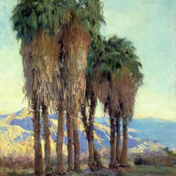 Palms