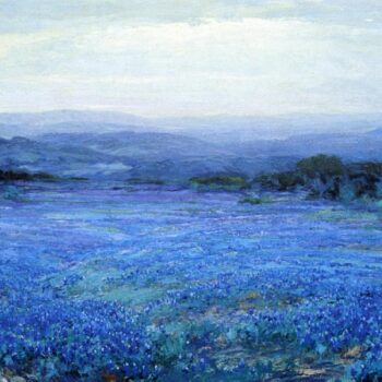 Panoramic Landscape