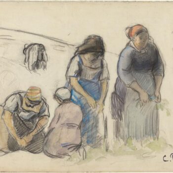 Pea Harvesters, 1880