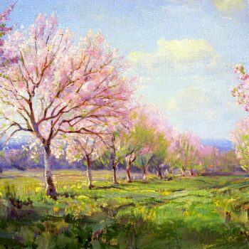Peach Orchard on Mavericks Farm, 1915