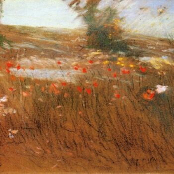 Poppies, Isles of Shoals, 1890
