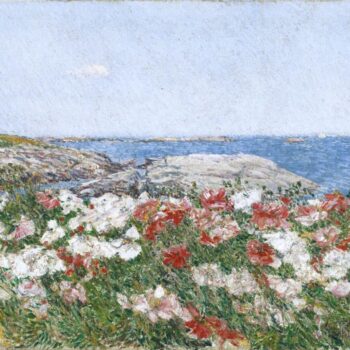 Poppies on the Isles of Shoals, 1890