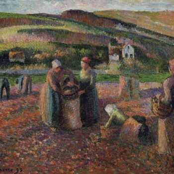 Potato Harvest, 1893