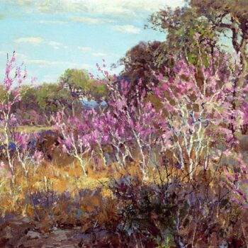 Redbud Tree in Bloom at Leon Springs, San Antonio, 1921