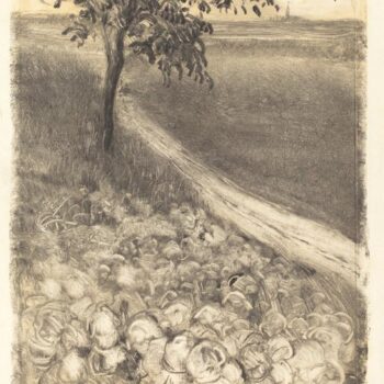 Road by a Field of Cabbages, 1880
