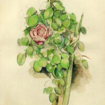 Rose Bush, 1885-88