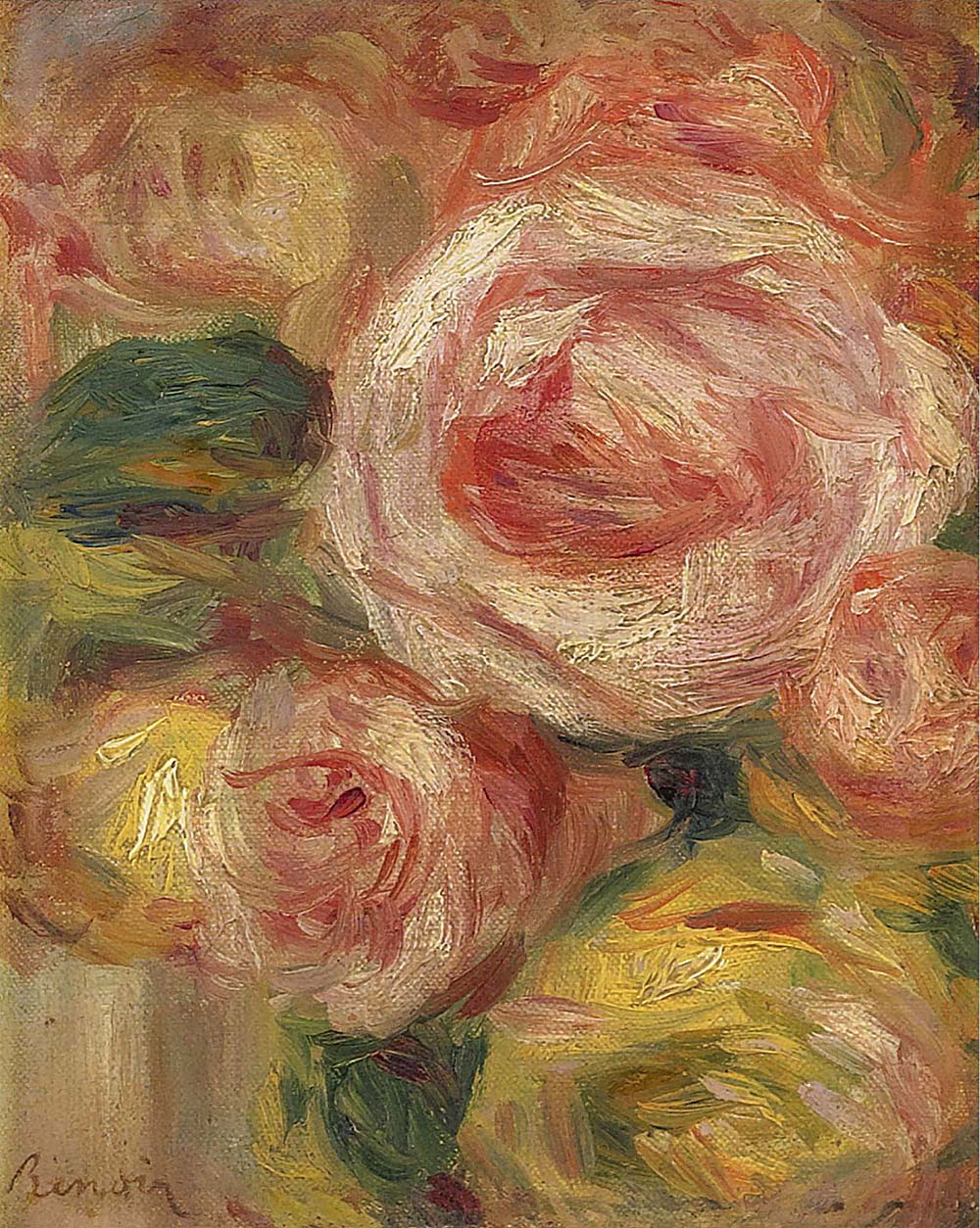 Roses