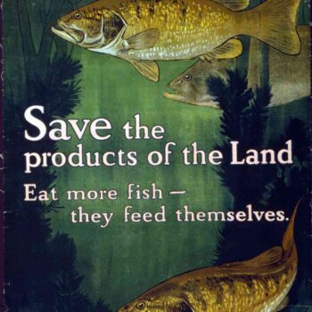Save the fish