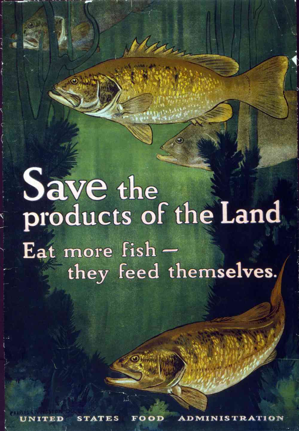 Save the fish