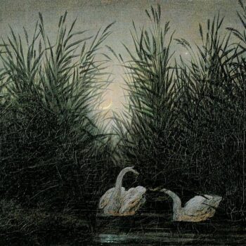 Schwane im Schilf (Zwei Schwane auf dem Weiher im Mondschein) (1819-20)