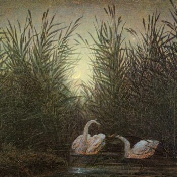 Schwane im Schilf (Zwei Schwane auf dem Weiher im Mondschein) (1819-20)