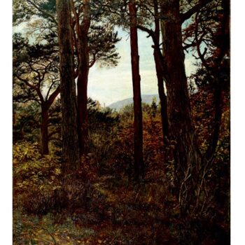 Scotch Firs, 1873