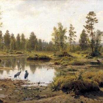 ShIShKIN Ivan - Boloto (swamp)