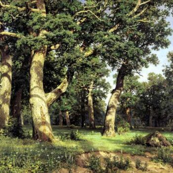 ShIShKIN Ivan - Dubovaia rosha (Oak Grove)