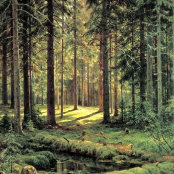 ShIShKIN Ivan - hvoiynyiy les (Pine forest)