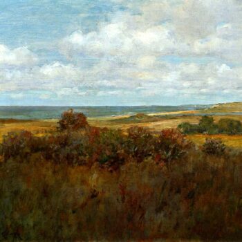 Shinnecock Landscape 04