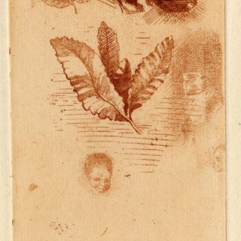 Sketches of Leaves and Two Heads, 1866-70