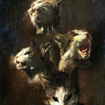 Sketches of the cat's head - 1609