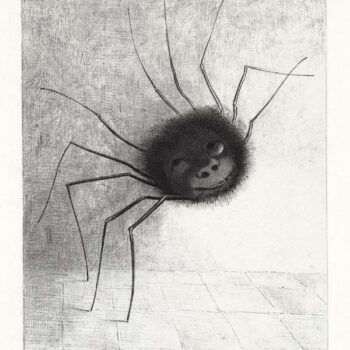 Spider, 1887
