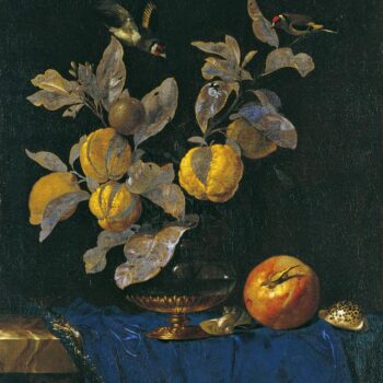 Still life with Fruit - 1664