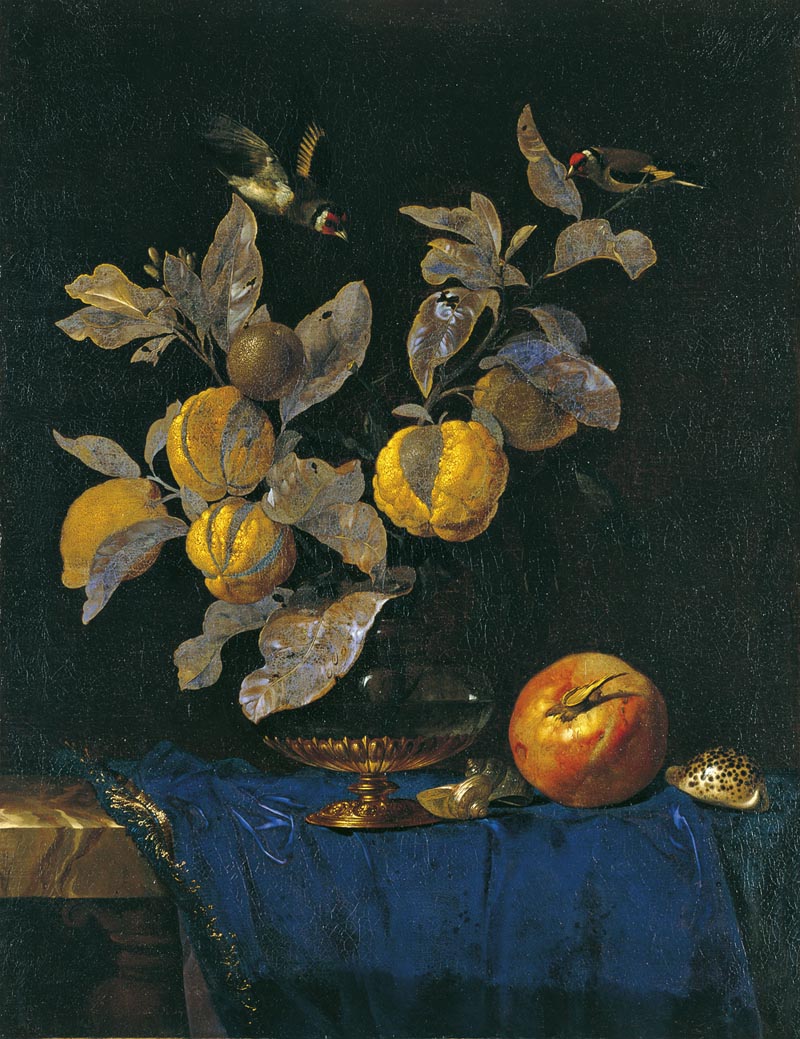 Still life with Fruit - 1664