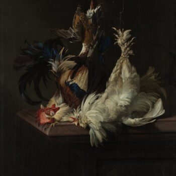 Still life with domestic birds - 1658