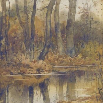 Stream in the Woods