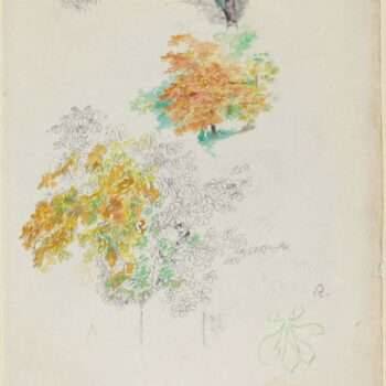 Studies of Trees, 1886