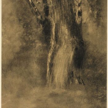 Study of a Tree 02