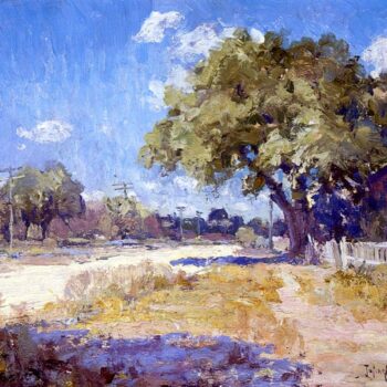 Texas Landscape