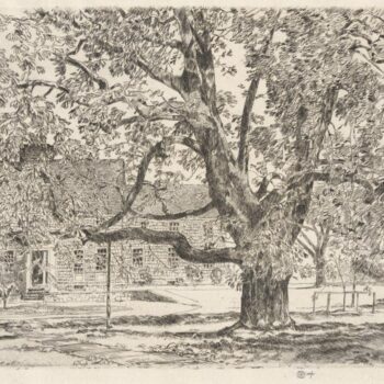 The Big Horse Chestnut Tree, Easthampton, 1928