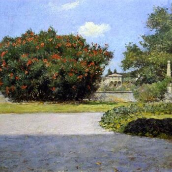 The Big Oleander, 1907