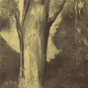 The Big Tree