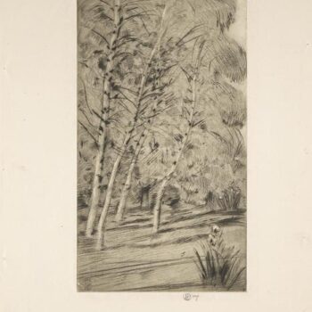 The Birches, 1922