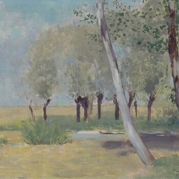 The Birches in Autumn