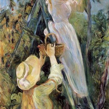 The Cherry Tree - 1891