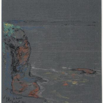 The Cliffs at `The Breakers`, Newport, 1901