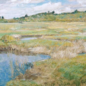 The Concord Meadow, 1891