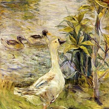 The Goose - 1885