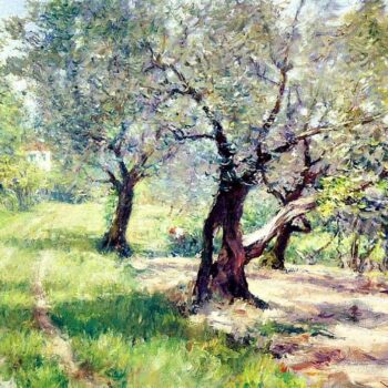 The Olive Grove, 1910