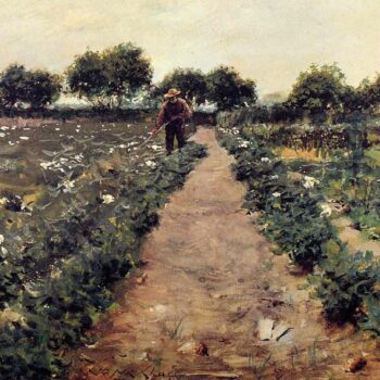 The Potato Patch, 1893