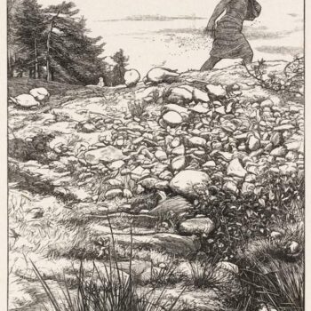The Sower, published1864