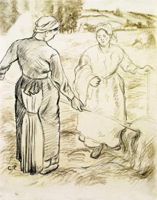 The Tedders, 1880-81