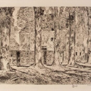 The Village Elms, Easthampton, 1923