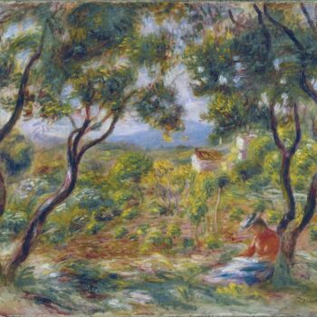 The Vineyards of Cagnes, 1908